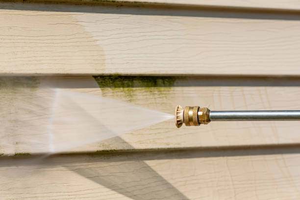 Best House Pressure Washing  in Ocean View, DE